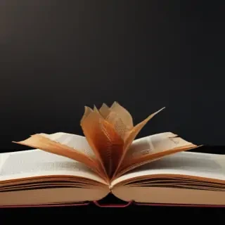 book clipart transparent