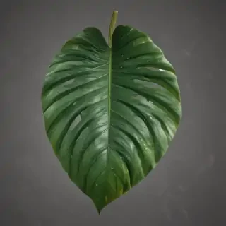 tropical leaf png