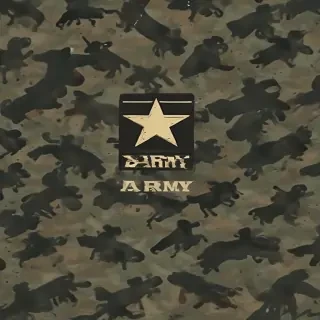 army backround