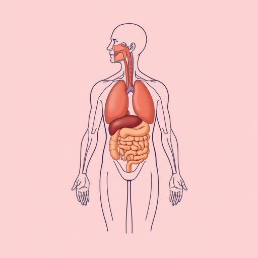 Create a detailed illustration of the human anatomy highlighting major organs, with a clean, minimalist style on a soft pink background, using a Canon EOS R5 camera with a 50mm lens, f/2.8 aperture, ISO 100, and a high-resolution macro setting for clarity.