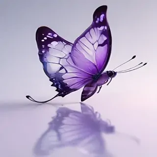 transparent purple butterfly