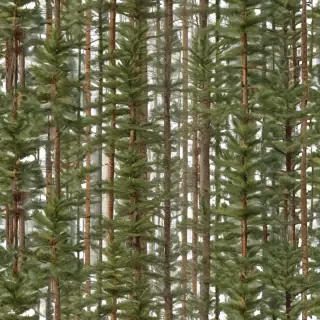 pine trees transparent background