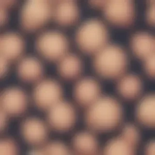 booty backgrounds