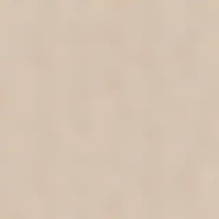 neutral colors background