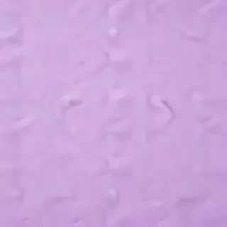 pastel purple background