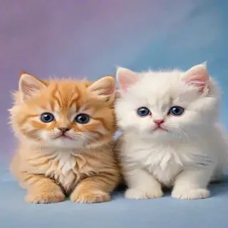 cute cats backgrounds