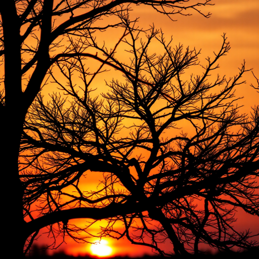 Create a black silhouette of a tree with intricate branches against a vibrant sunset background, using a DSLR camera with a 50mm lens, aperture set to f/2.8, ISO 100, shot from a low angle to enhance depth, and a warm color palette to emphasize the sunset.
