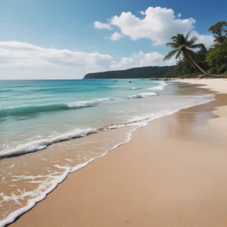 beach backgrounds for phone