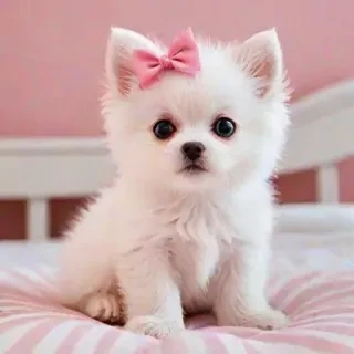 pink cute pics