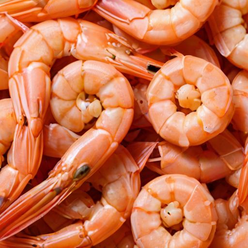 shrimp png