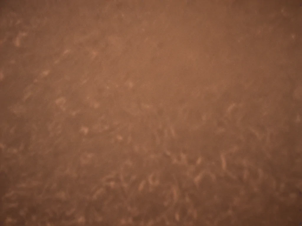 brown noise youtube