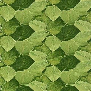 leaf backgrounds