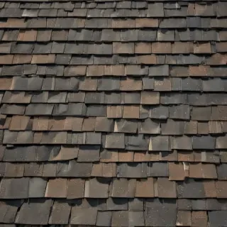 picture of shingles
