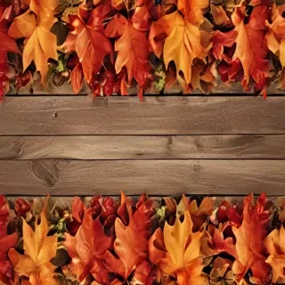 fall zoom backgrounds free