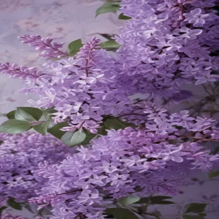 aesthetic lilac wallpaper