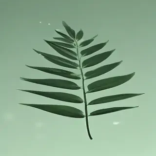aesthetic background green