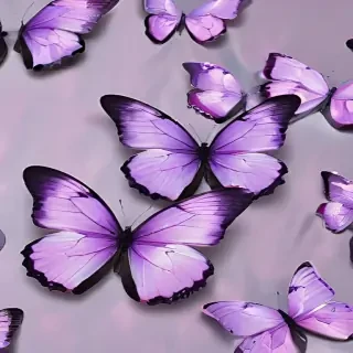 aesthetic purple butterfly