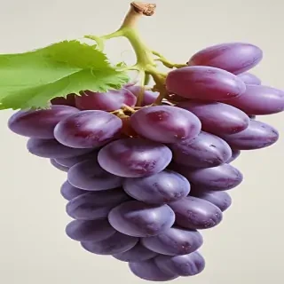 grape png