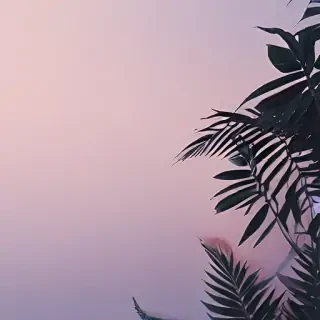 aesthetic simple backgrounds