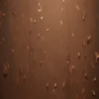 soft brown aesthetic