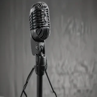 microphone .png