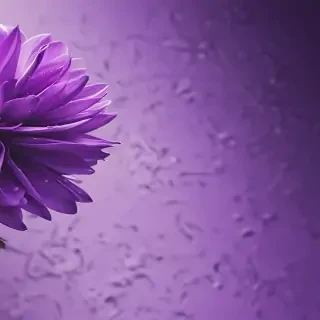 purple wallpaper iphone aesthetic