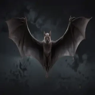 halloween bats png