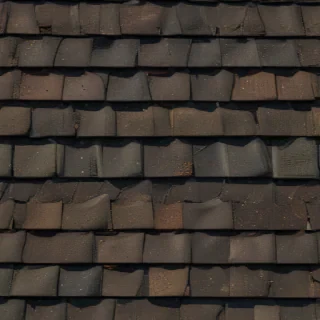shingles images