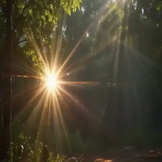 lens flare