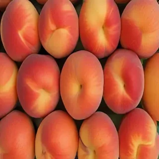 peaches background