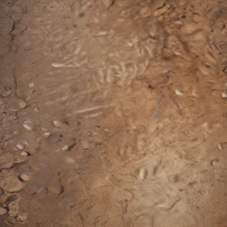 ground png