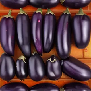 new eggplant friday