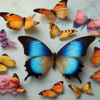 aesthetic butterflies