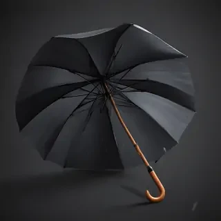 umbrella png