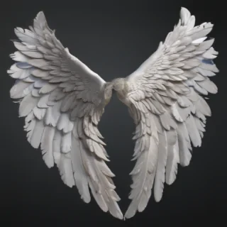 realistic angel wings png