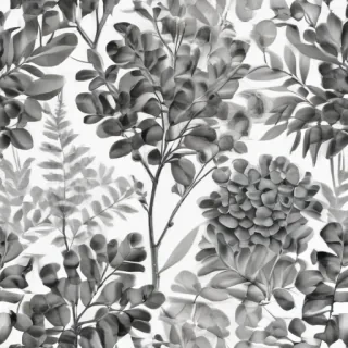 eucalyptus clipart black and white