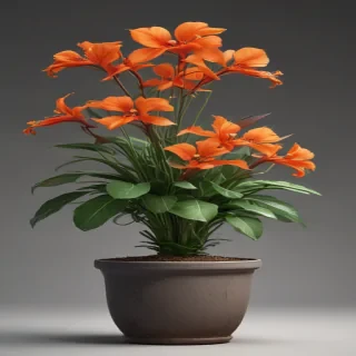 potted plant png