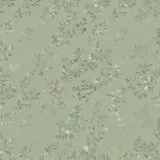 sage green bg