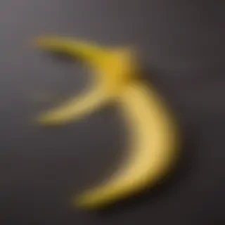 banana peel png