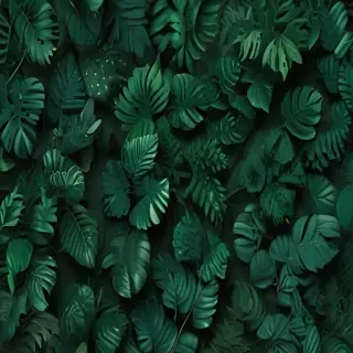 aesthetic green backgrounds