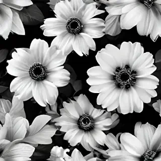 flower images black and white