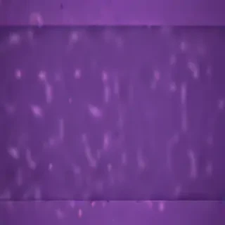 purple background cute