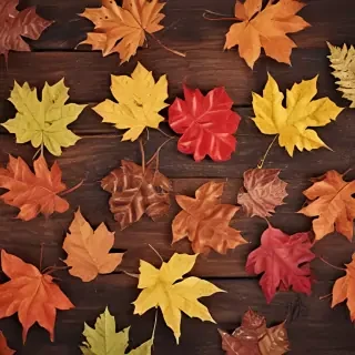 fall wallpaper