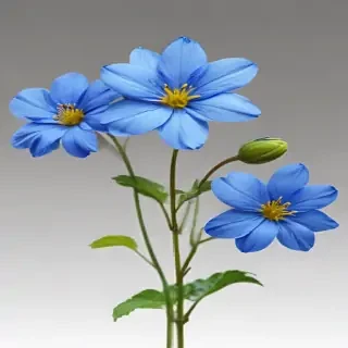 blue flowers transparent