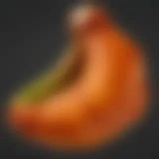 chicken wing png