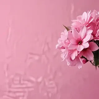 aesthetic wallpapers iphone pink