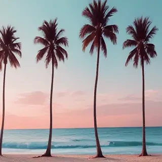 aesthetic beachy backgrounds
