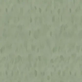sage green backround