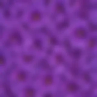purple flowers background