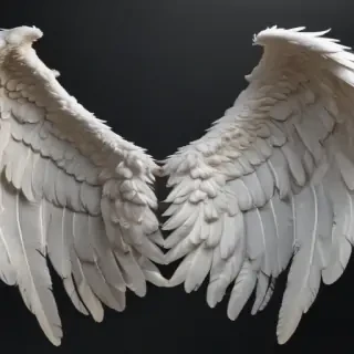 angel wings transparent background